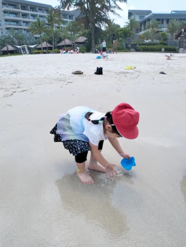 海辺で遊ぼう